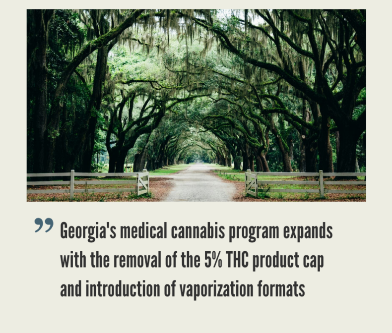 Georgia Cannabis Market