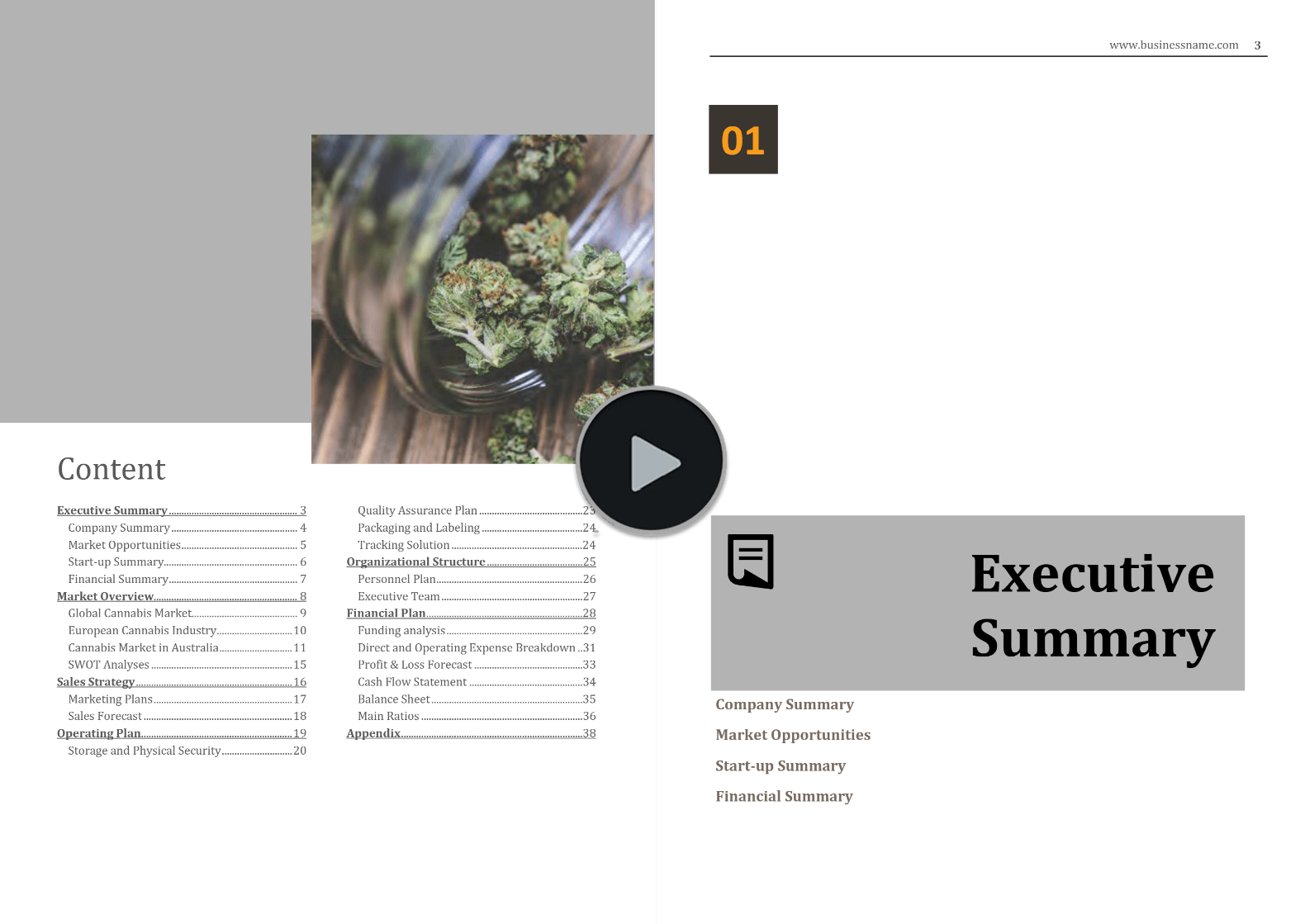 Cannabis Export Import Business Plan