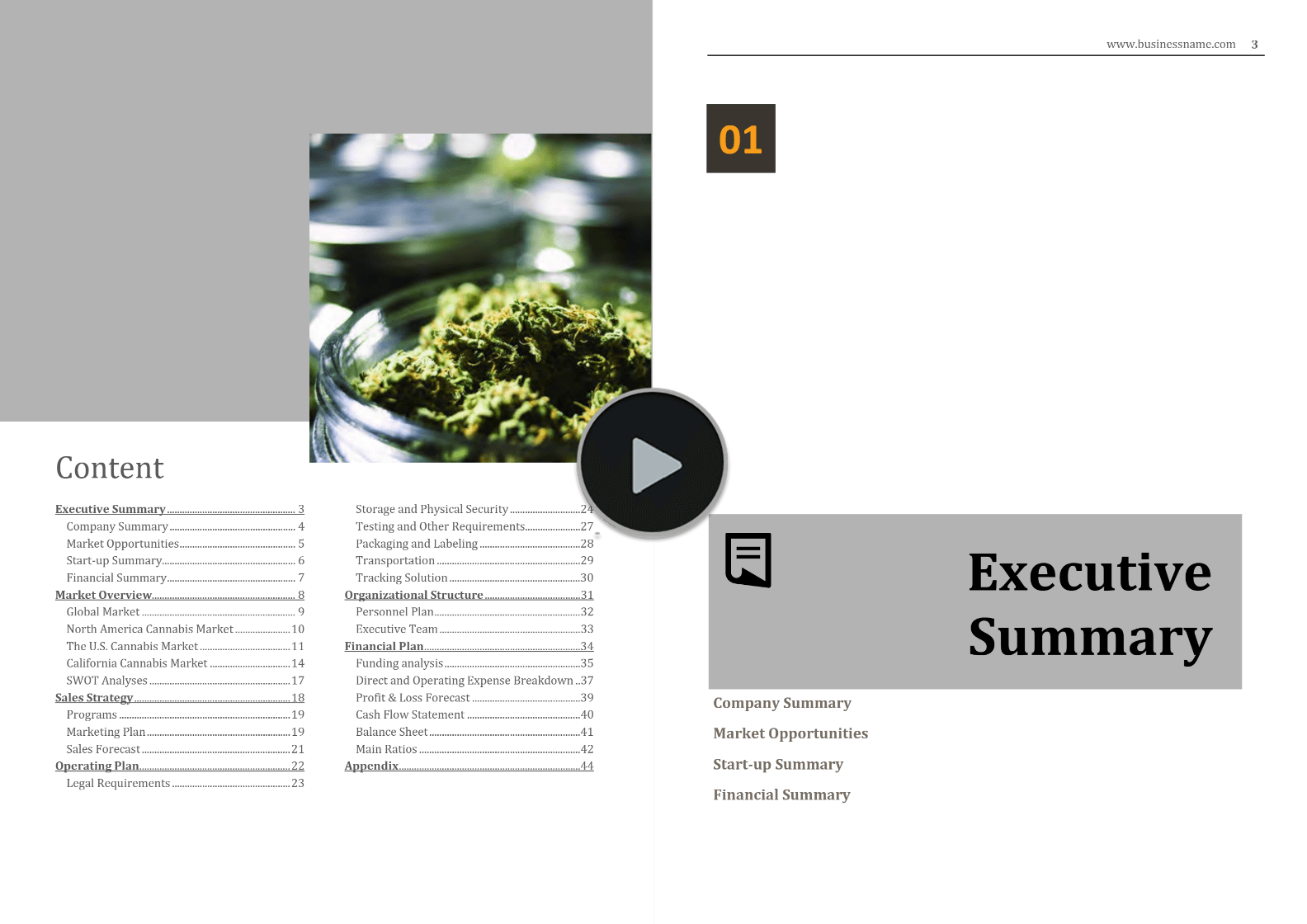 Cannabis Wholesaler Distributor Business Plan Template