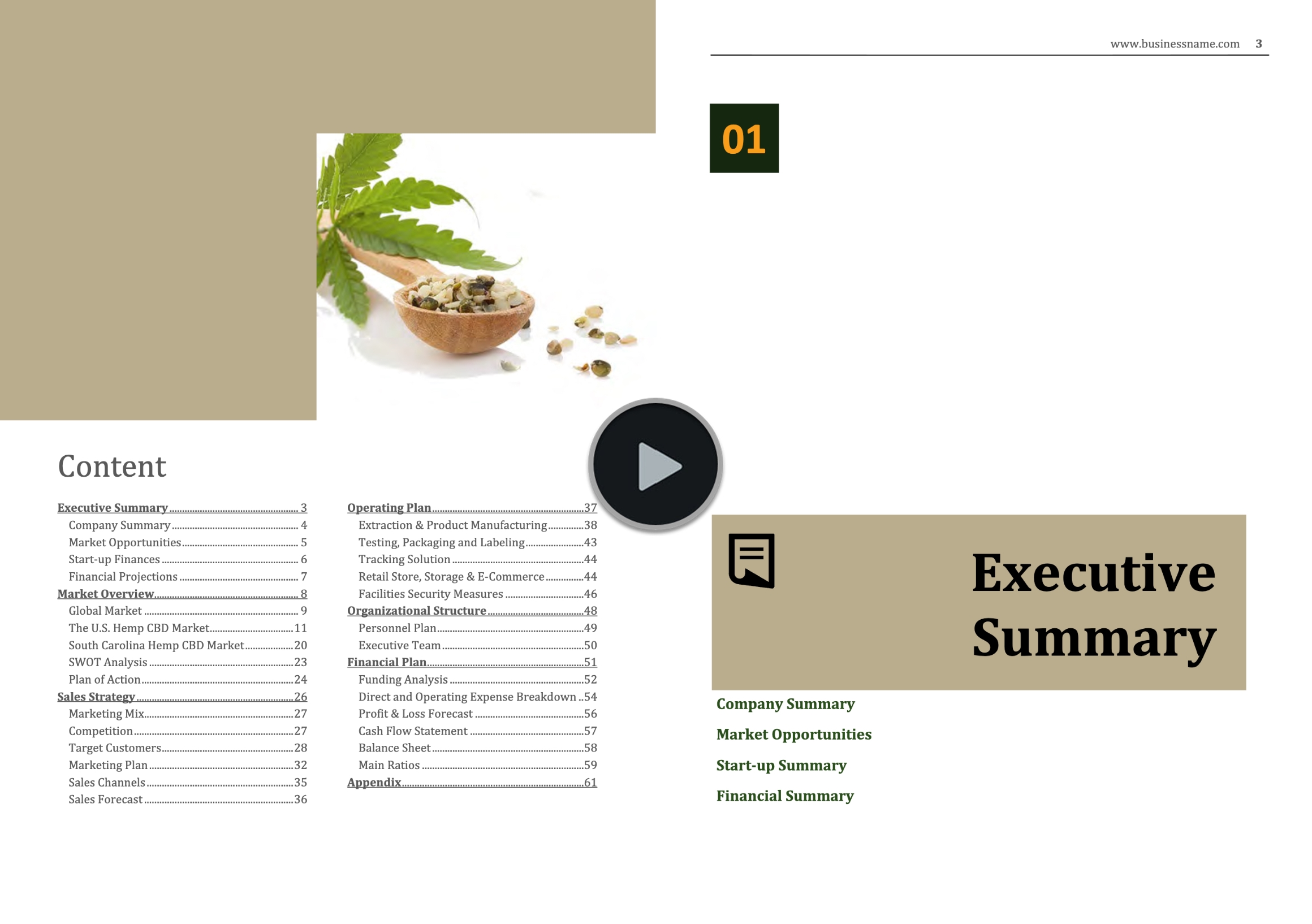 Hemp CBD Extraction Manufacturing Retail Business Plan Template