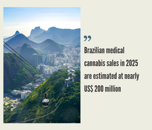 Brazil Cannabis Market