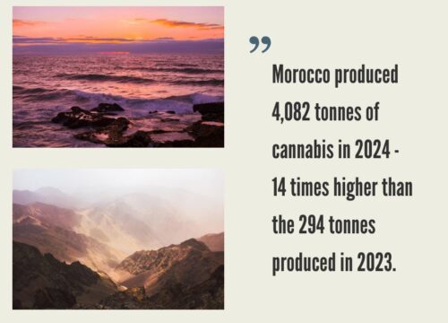 Cannabis Market in Morocco