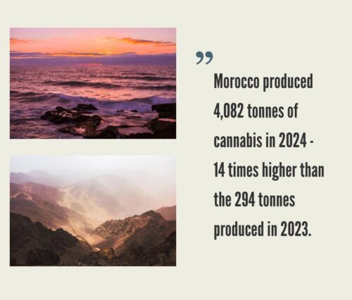 Cannabis Market in Morocco