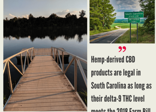 South Carolina Hemp Industry