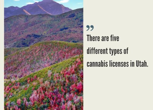 How to Start a Cannabis Business in Utah?