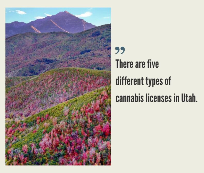 How to Start a Cannabis Business in Utah?