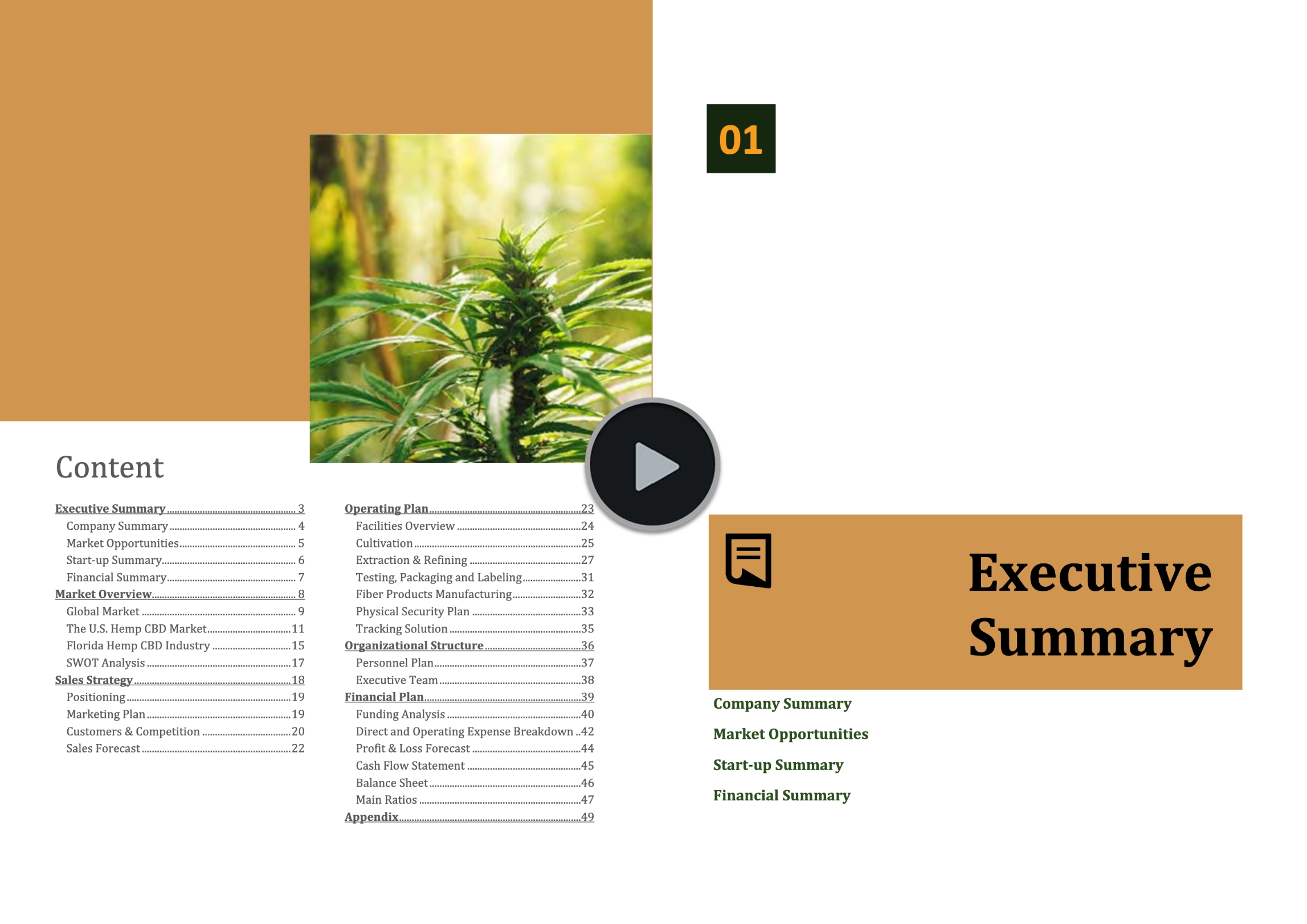 Hemp Cultivation CBD Oil Extraction Business Plan Template