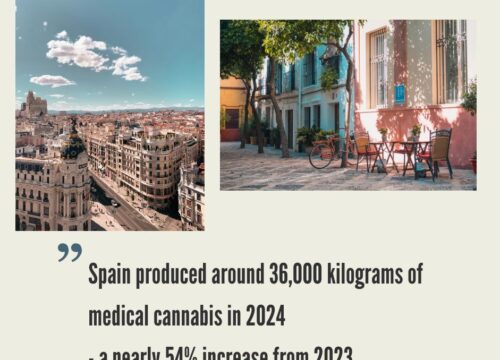 Spain Cannabis Market