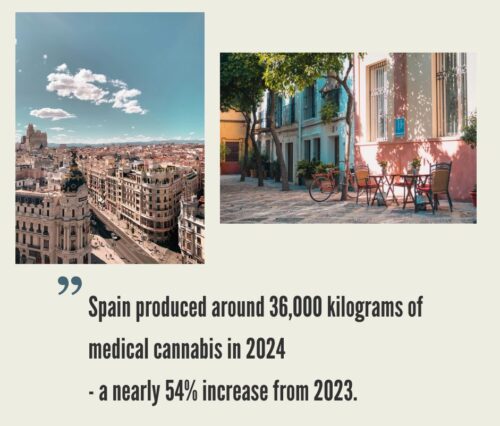 Spain Cannabis Market