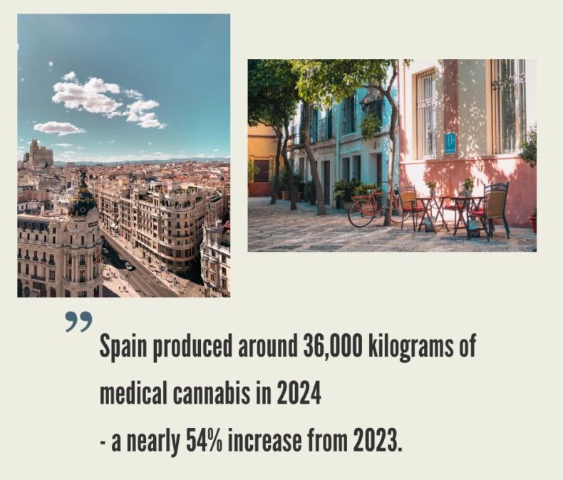 Spain Cannabis Market