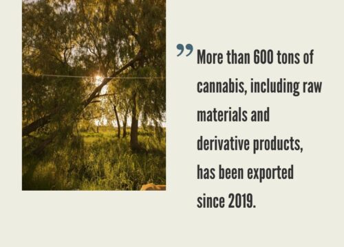 Paraguay Cannabis Market