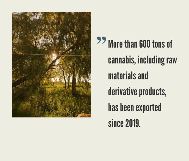 Paraguay Cannabis Market