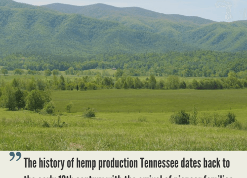 Tennessee Hemp Industry