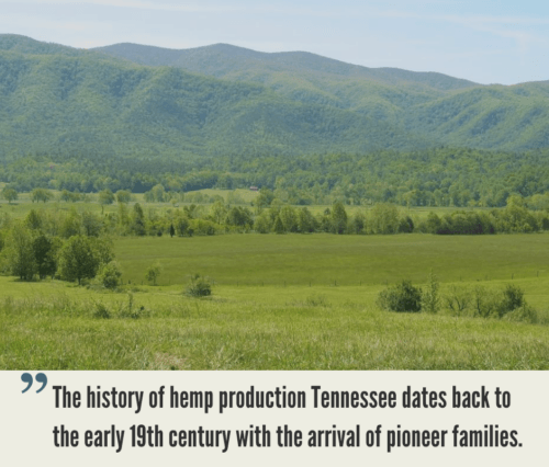 Tennessee Hemp Industry
