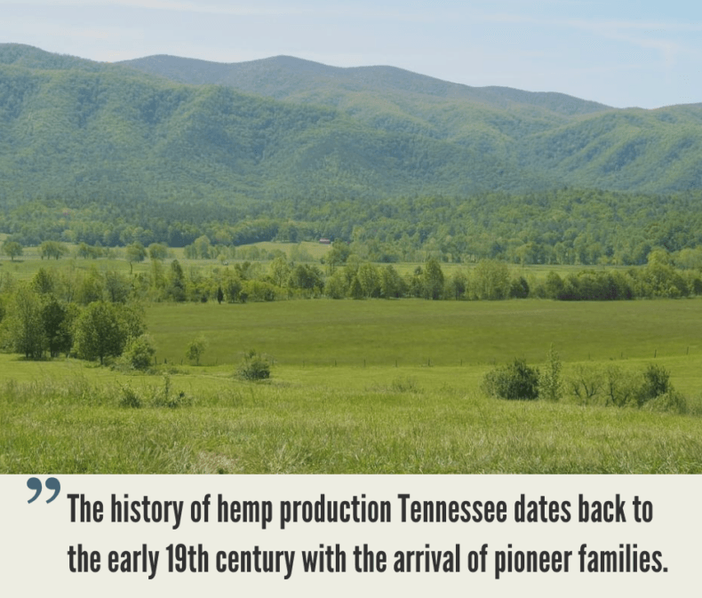 Tennessee Hemp Industry