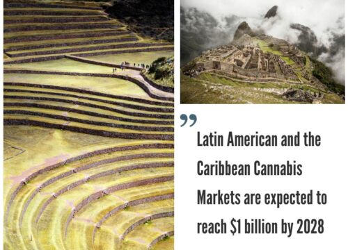 Latin America and the Caribbean Cannabis Markets