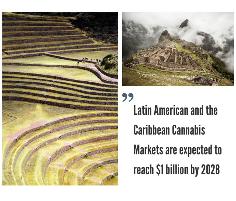 Latin America and the Caribbean Cannabis Markets