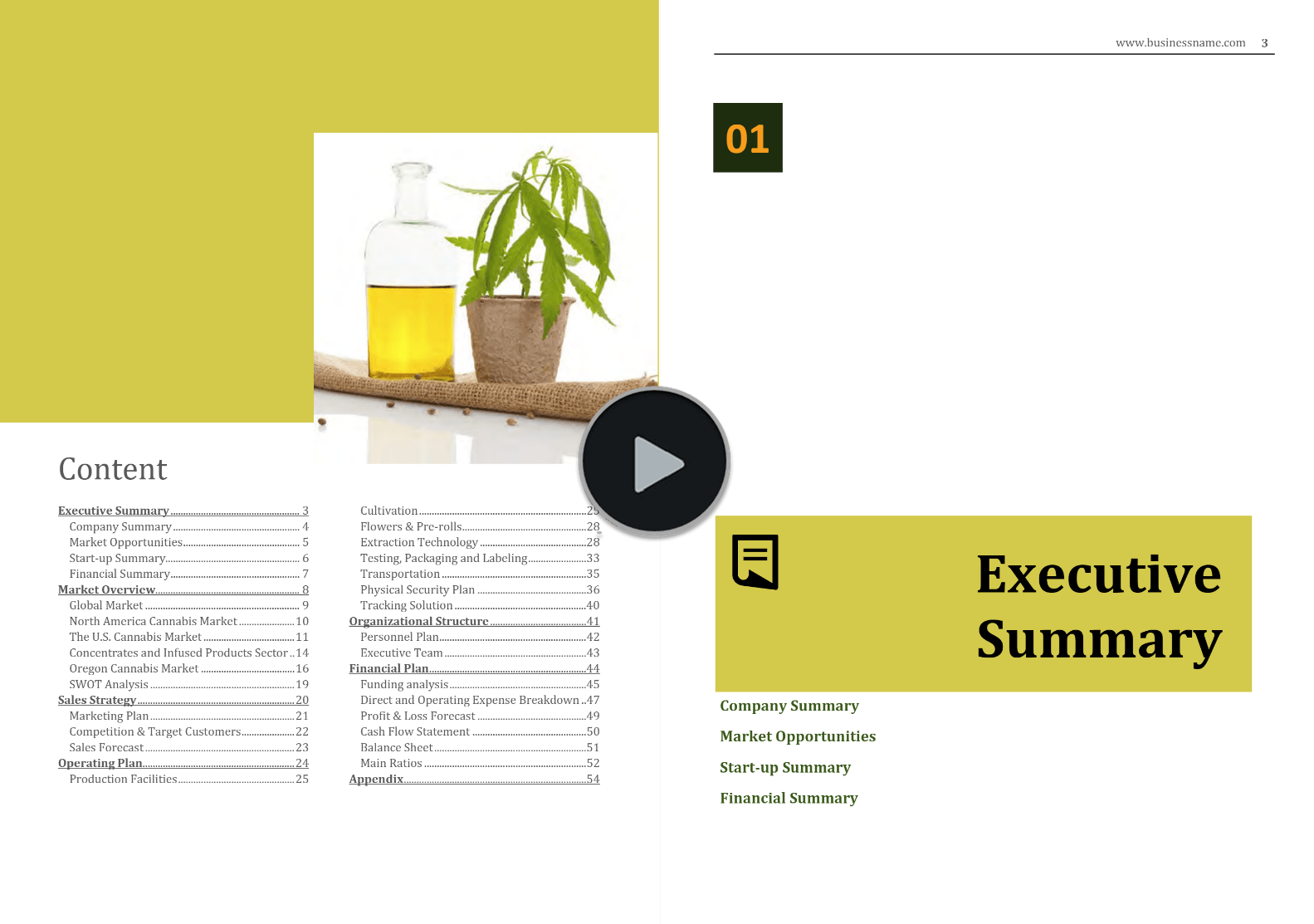 Cannabis Cultivation Extraction Business Plan Template