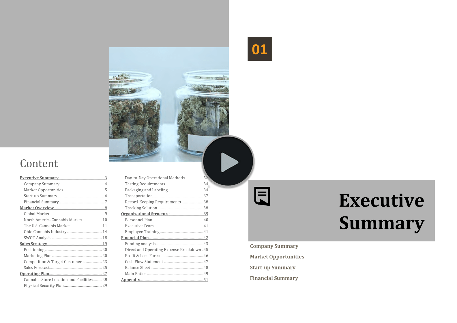 Ohio Cannabis Market