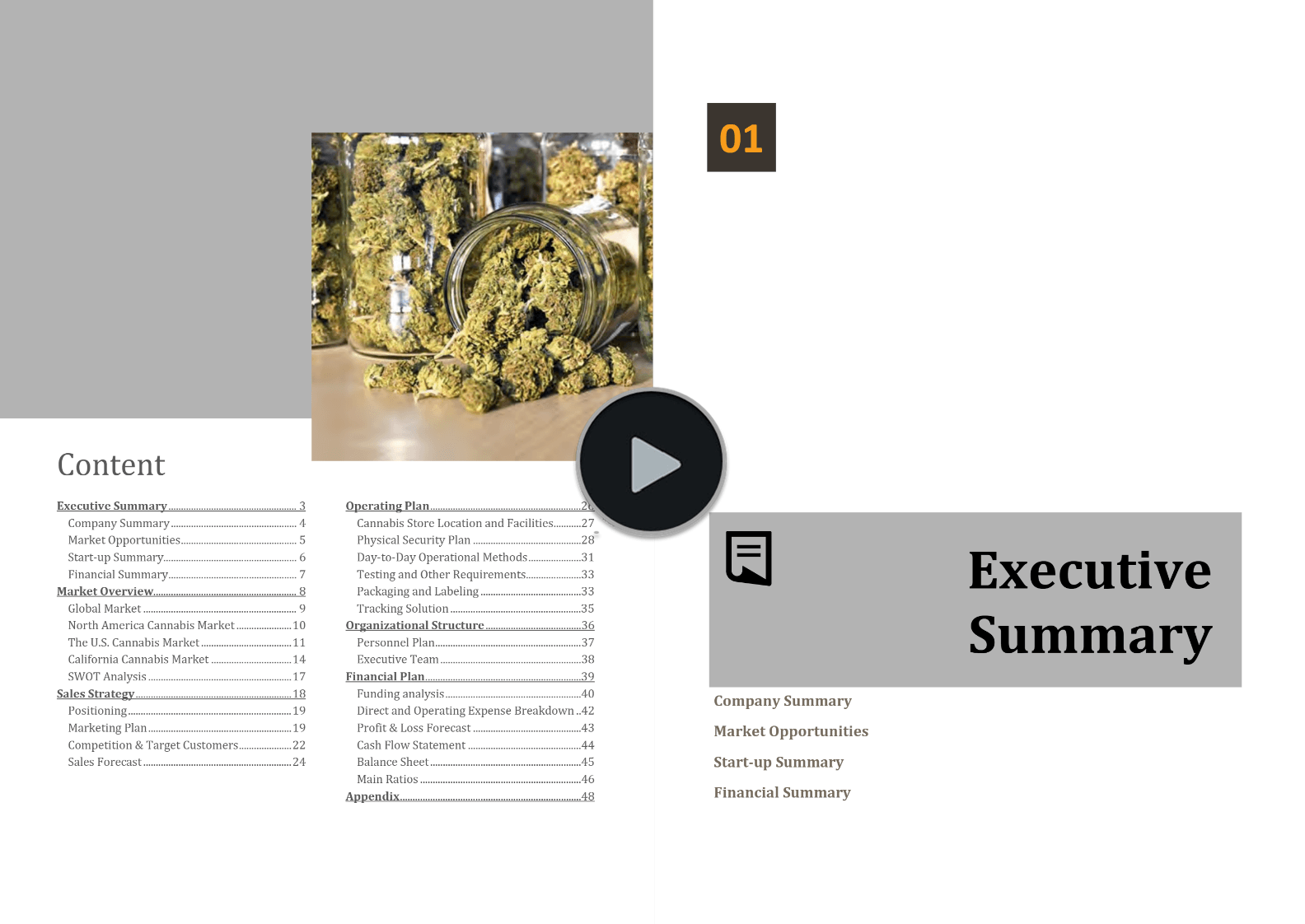 Cannabis Retail Business Plan Template