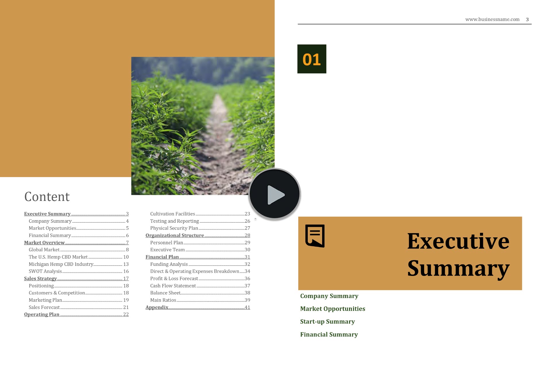 hemp cultivation nursery business plan template