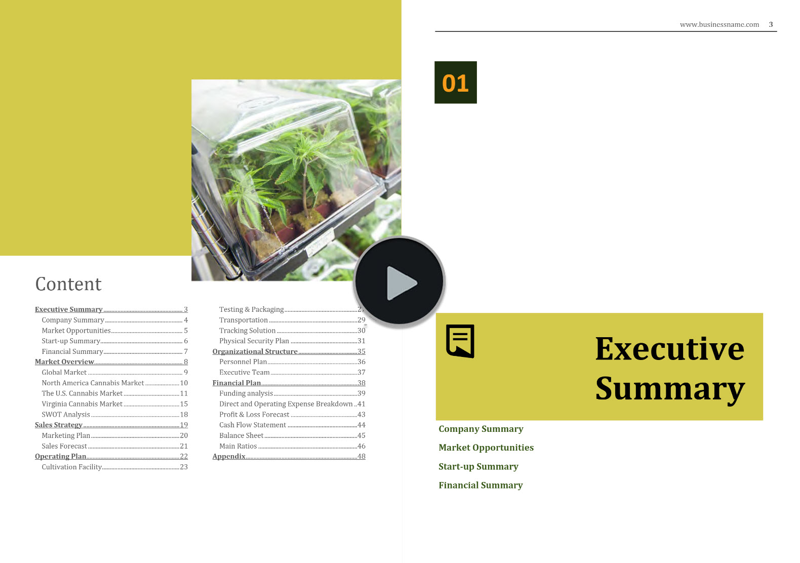 Cannabis Cultivation and Nursery Business Plan Template