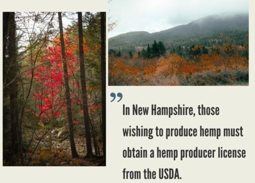 New Hampshire Hemp Industry