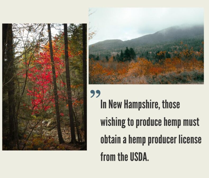New Hampshire Hemp Industry