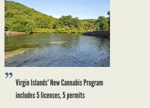 How to Start a Cannabis Business in the U.S. Virgin Islands?