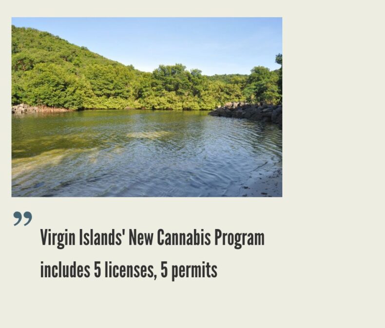 How to Start a Cannabis Business in the U.S. Virgin Islands?