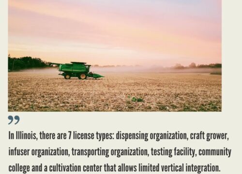 How to Start a Cannabis Business in Illinois