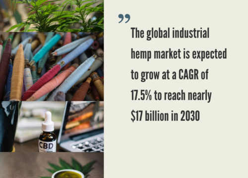 Global Hemp Market