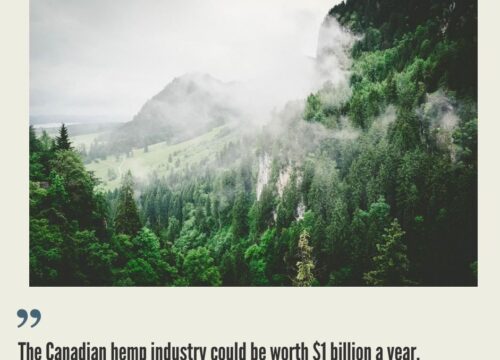 Canada Hemp Business, Legalization and Opportunities