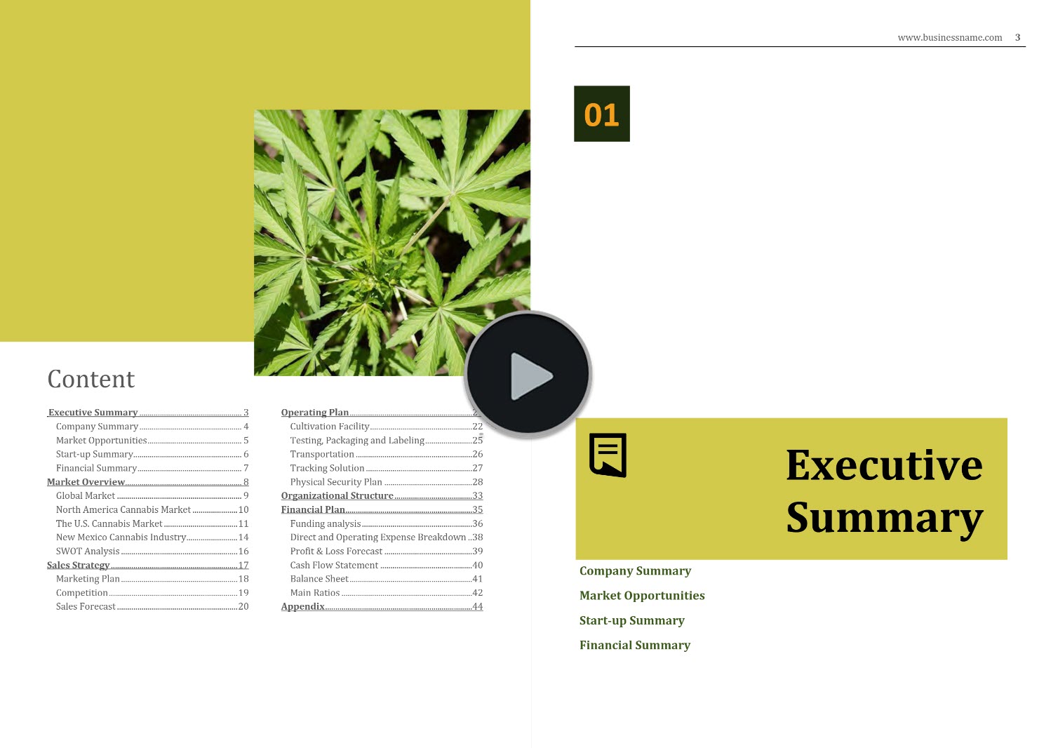 cannabis micro cultivation business plan