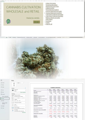 Cannabis Cultivation and Retail Financial Model