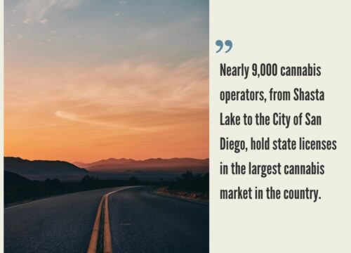 How to Start a Cannabis Business in California?