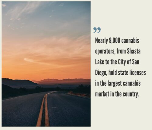 How to Start a Cannabis Business in California?