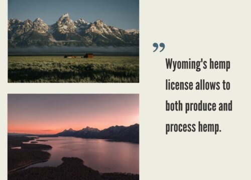 Wyoming Hemp Industry
