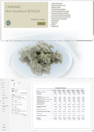 Cannabis Non-Storefront Retailer Financial Model