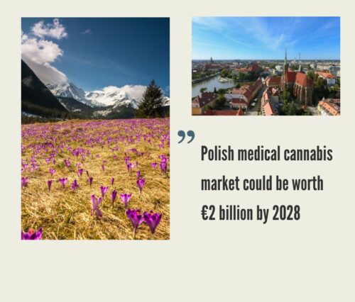 Polish Cannabis Market