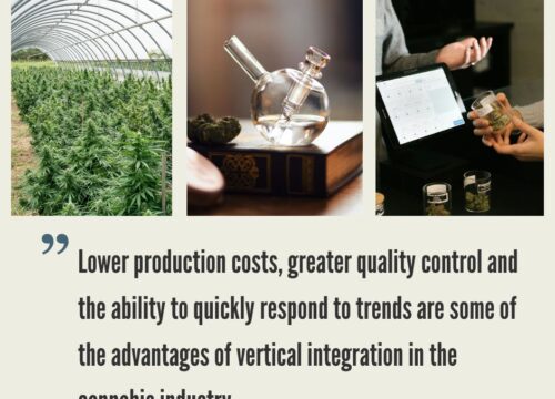 Which States Allow Cannabis Vertical Integration? 2026 Update