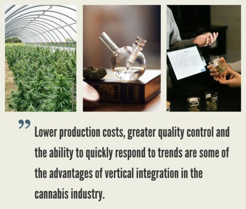Which States Allow Cannabis Vertical Integration?