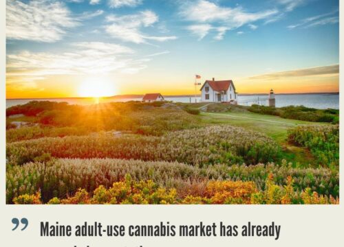 Maine Cannabis Market