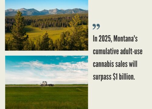 Montana Cannabis Market
