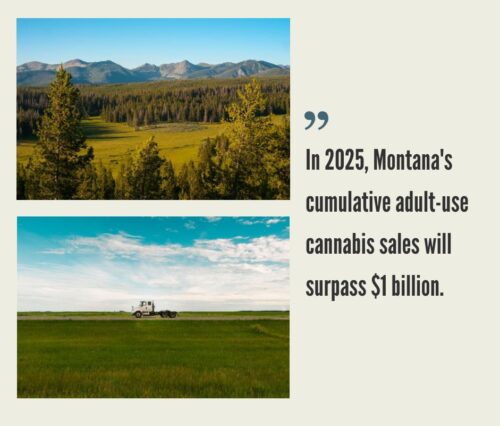 Montana Cannabis Market