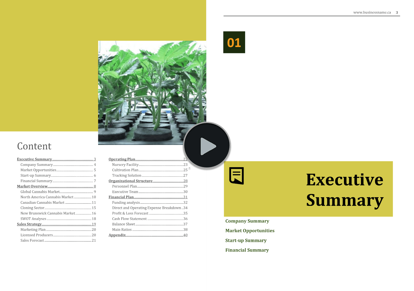 New Brunswick Cannabis Market