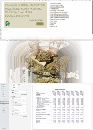 Cannabis Vertically Integrated Financial Model with Lounge and Events