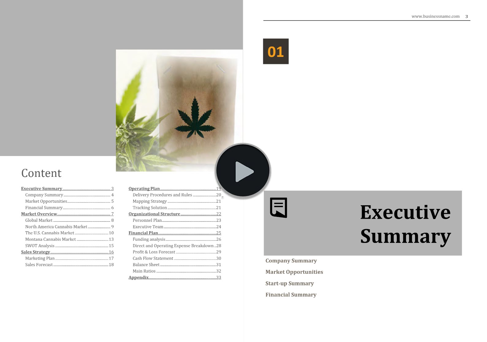 Montana Cannabis Market