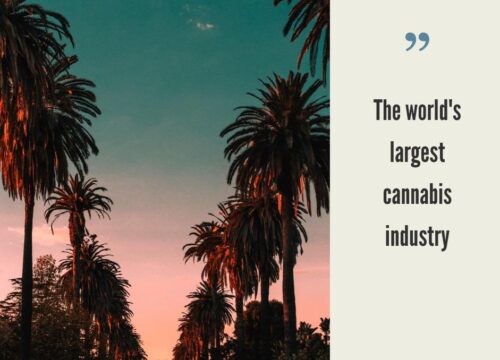 California Cannabis Market