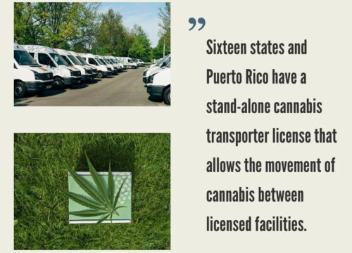 Cannabis Transporter License by State: 2025 Update